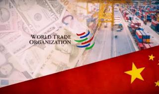 2021年我国被踢出WTO